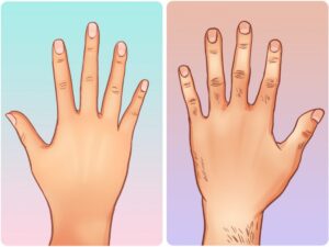 Giải mã câu đố