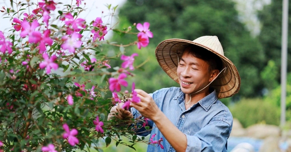Cuộc Sống Gia Đình Và Những Biến Cố